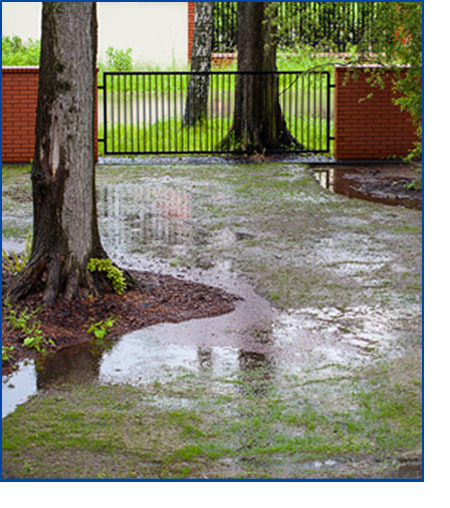 Drainage issues on property with photo of standing water and minor flooding on property