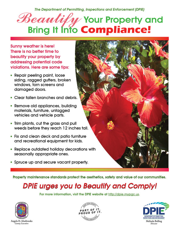 Beautify and Comply flyer