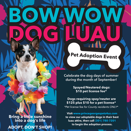 Bow Wow Dog Luau Flyer