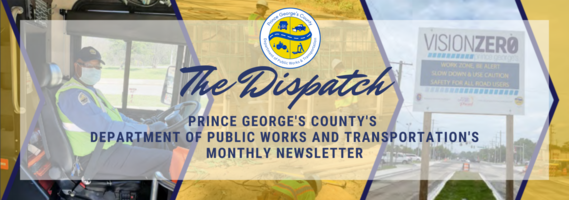The Dispatch Banner