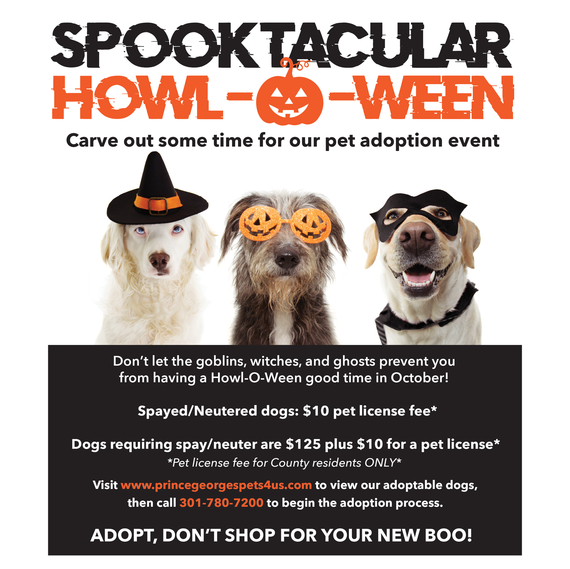 Howl-o-ween
