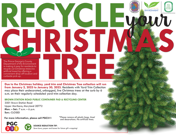 DoE recycle-your-christmas-tree-flyer22