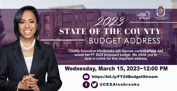 Budget Address Streaming Information Graphic