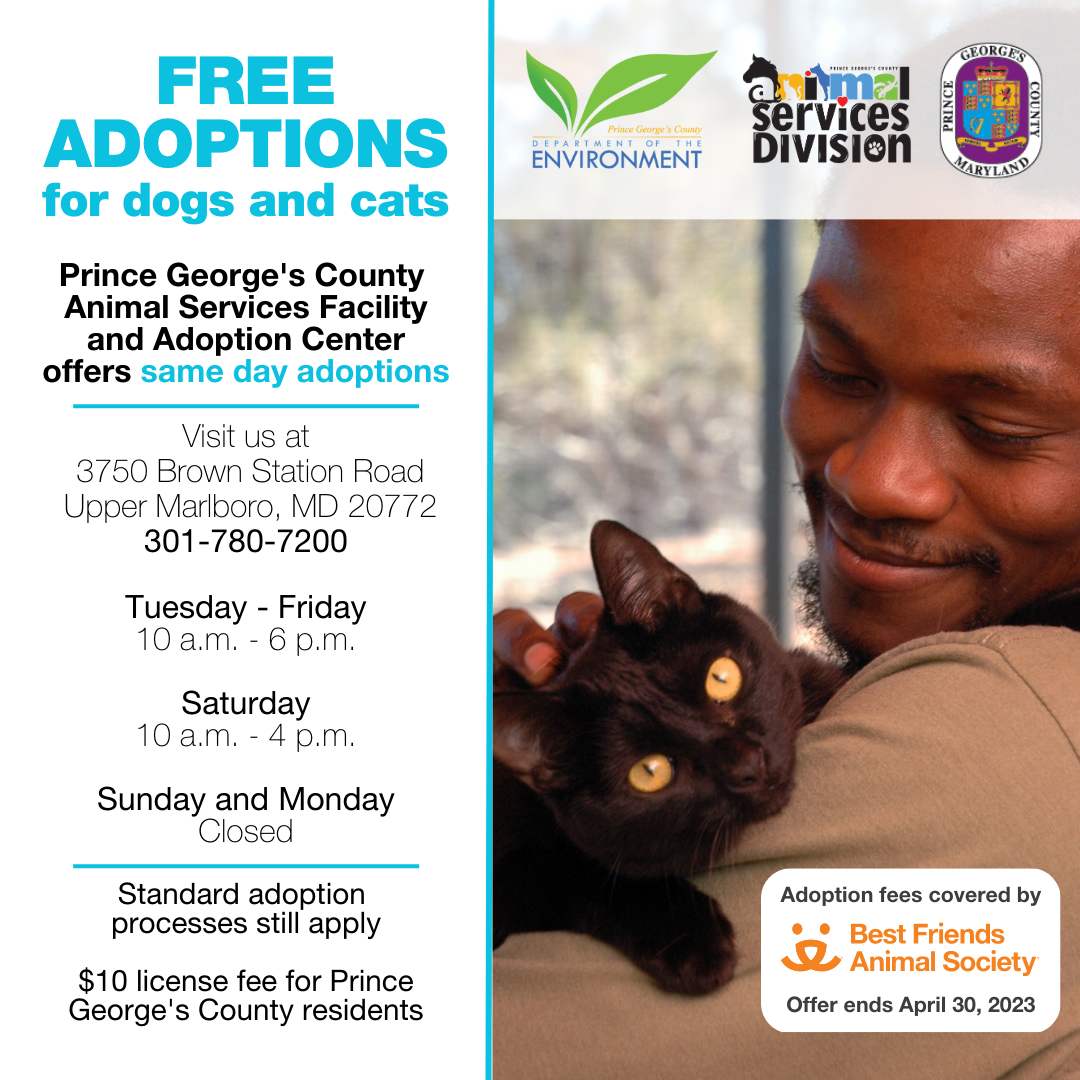 Free Adoptions