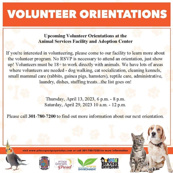Volunteer Orientations 4.5
