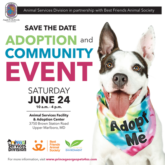 DoE adoption event save the date 6.24.23