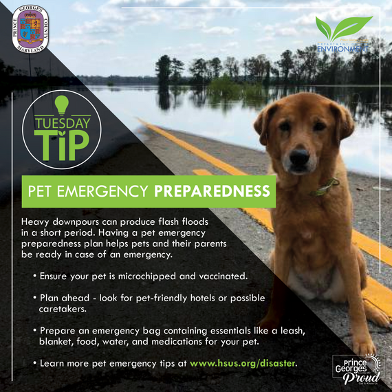 Tues Tip Pet Prepardness