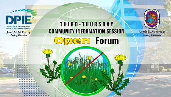 Open Forum IV, cover graphic depicting tall grass and weeds violation