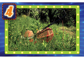 Name that Violation contest photo number 4 image from last month's quiz of lawnmower surrounded by tall weeds and grass
