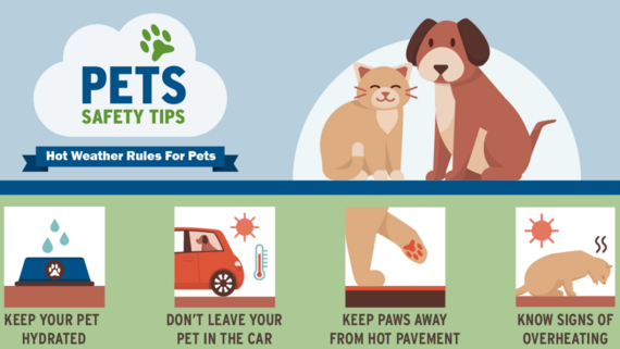 Pet Hot safety tips DoE