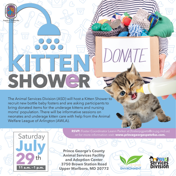 DoE kitten shower 7.29.23