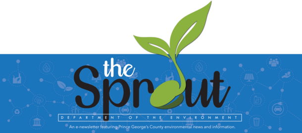 DOEsprout-banner2023