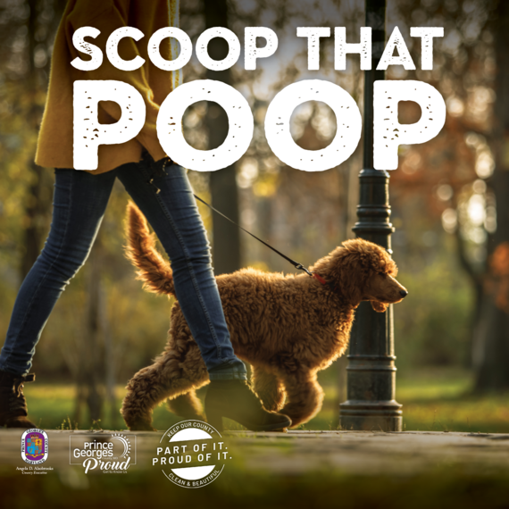 scoop that poop 2