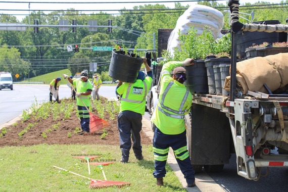 Median Beautification Program