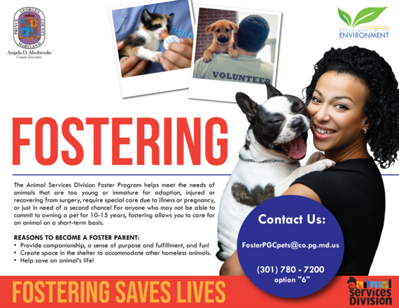 DoE Foster-flyer2024