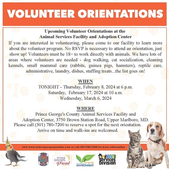 Volunteer Orientation 2.7.24a