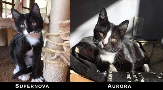 Supernova and Aurora