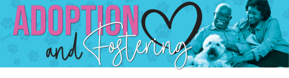 adoption banner
