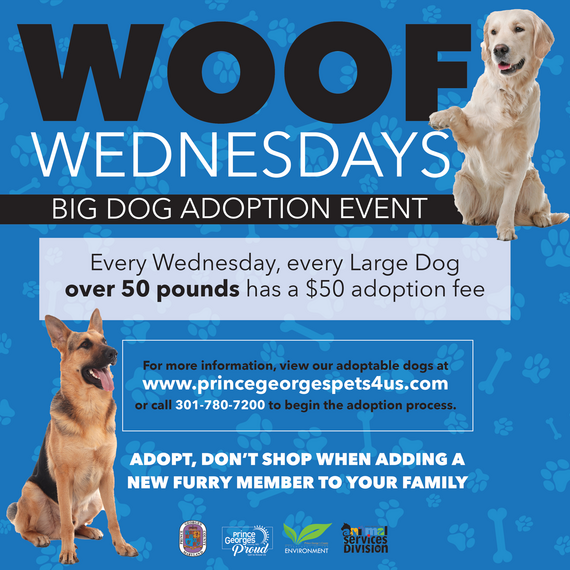 DoE woofwedflyer 2024