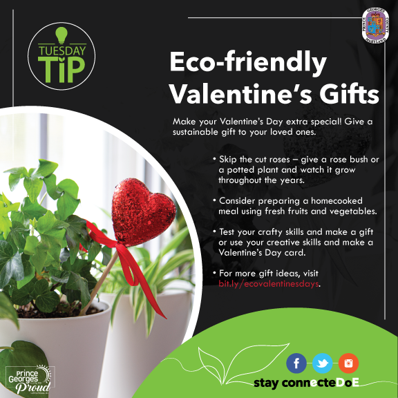 TT 2.13..24 Valentine's Day