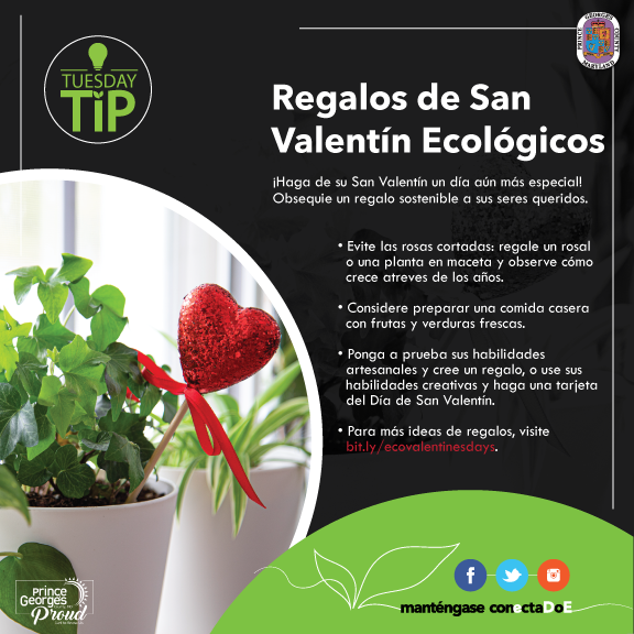 TT 2.13.24 Valentine sp