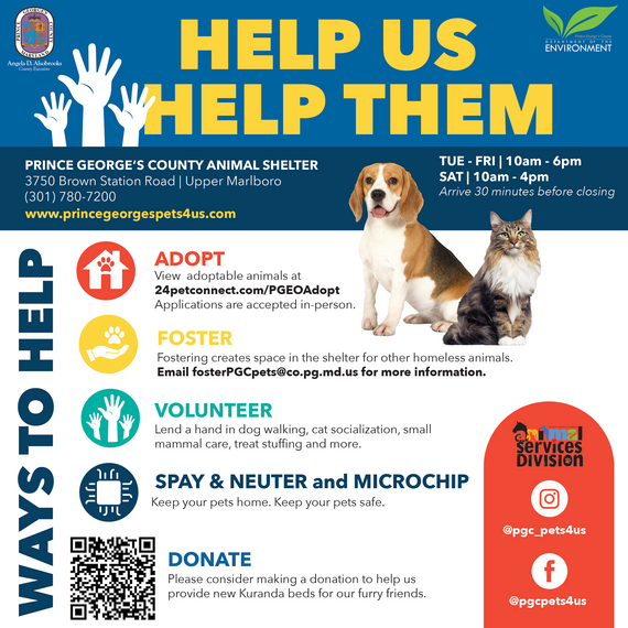 DoE Help Us Help Them Final