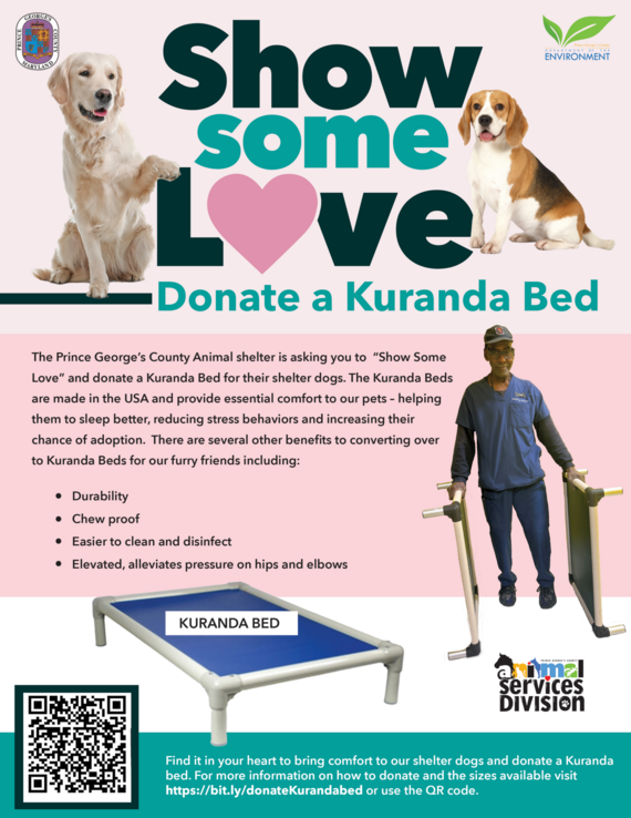 DoE Kuranda bed