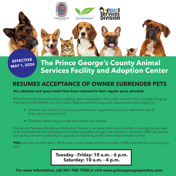 Resumes Owner Surrendor