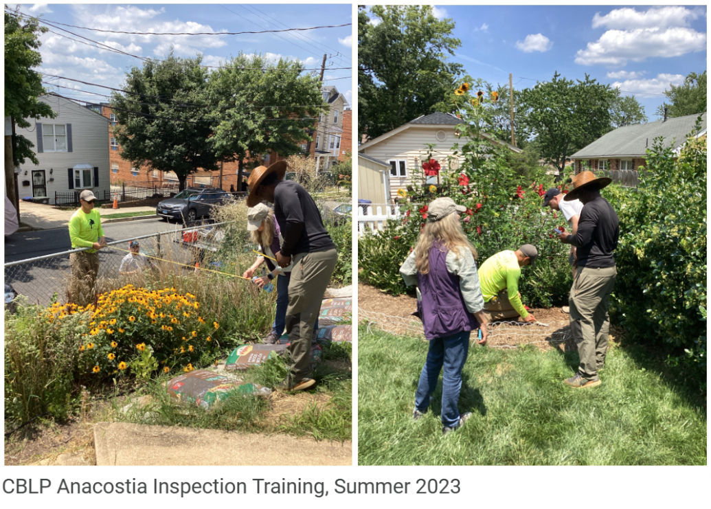 CBLP training summer 2023 DoE