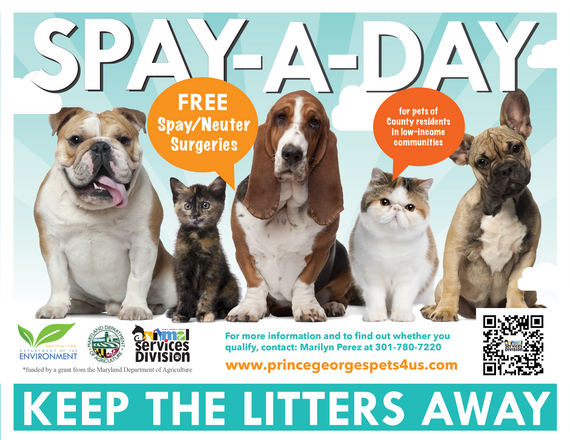 Spay A Day 2024
