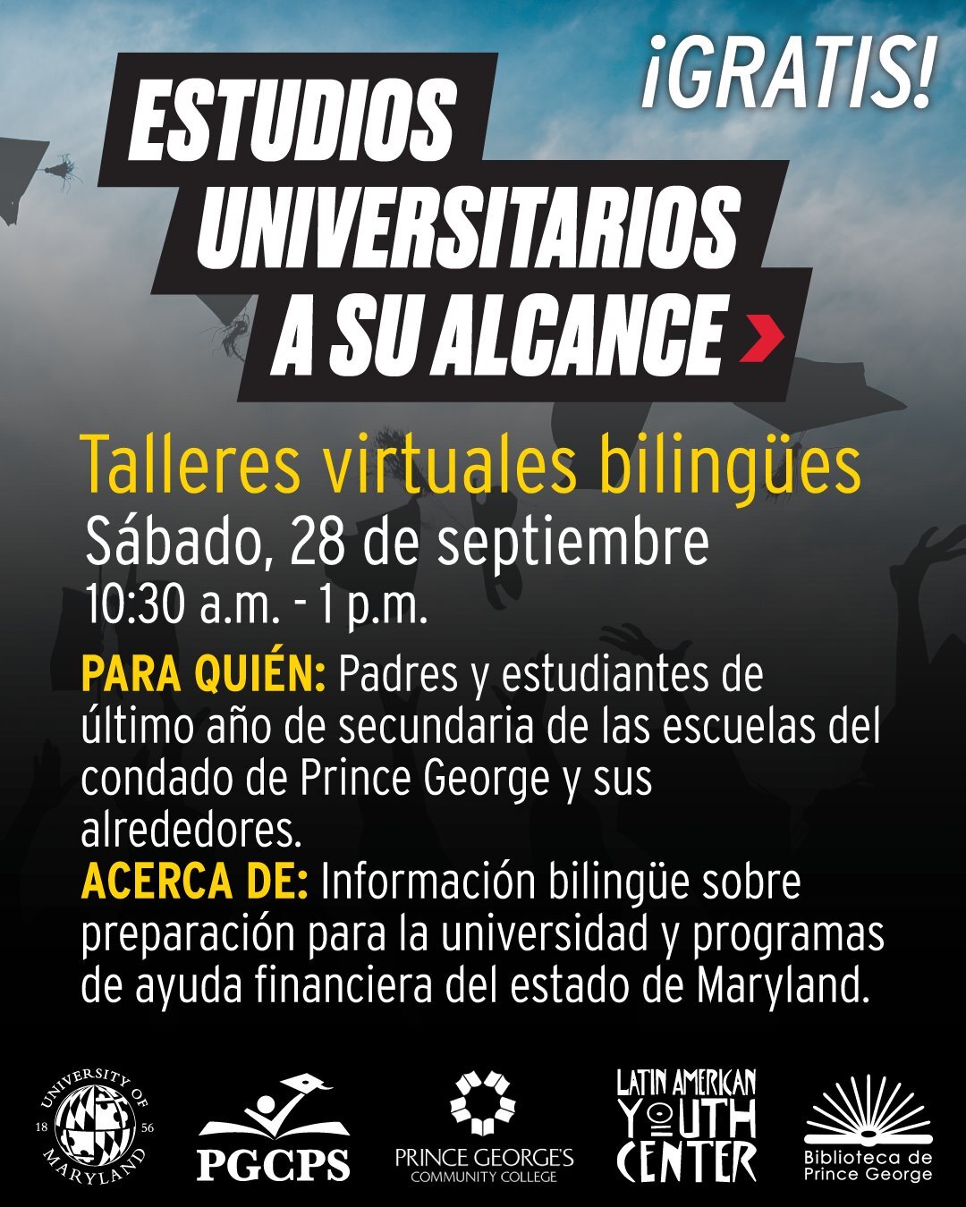 estudios universitarios