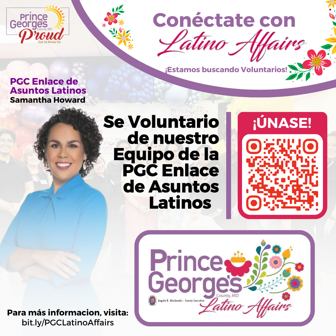 VOLUNTARIOS EN ESPANOL NEW FLYER