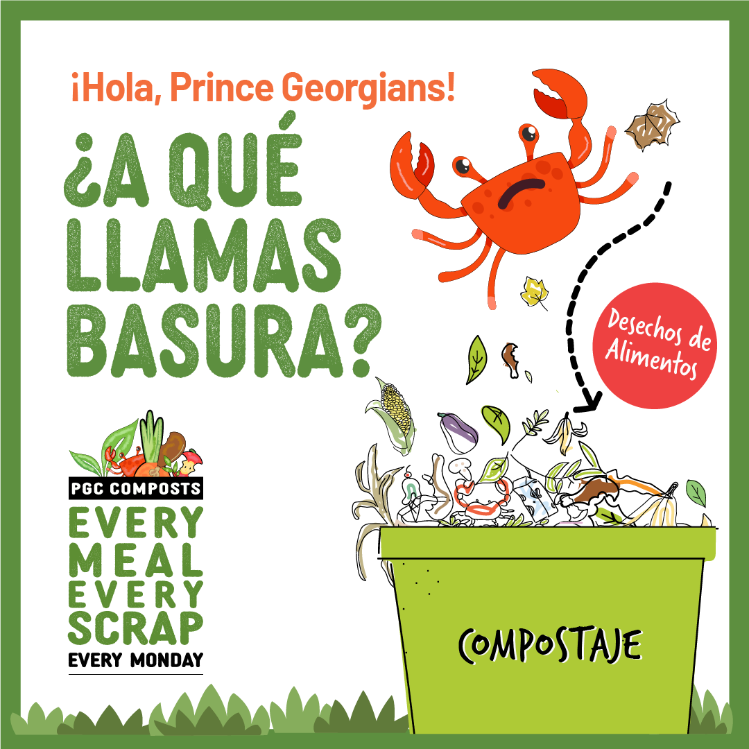 What are you calling trash