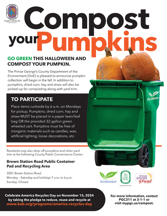 Pumpkin compost