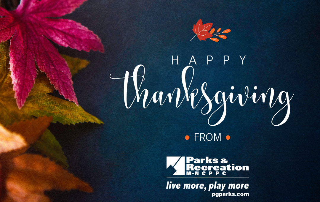 Parks and Rec Thanksgiving