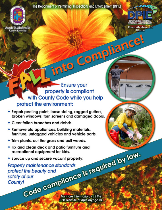 DPIE Fall into Compliance