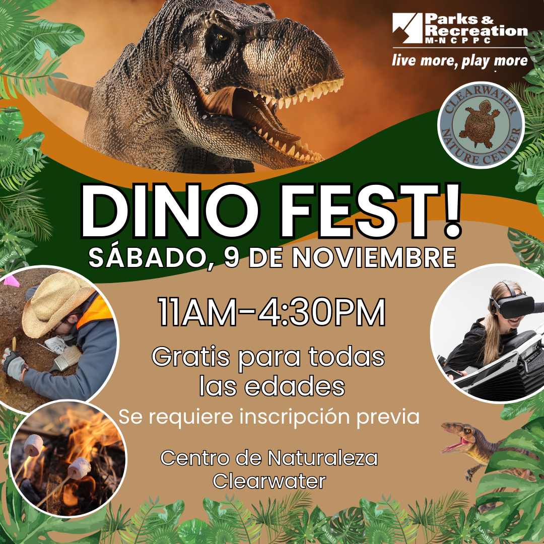 Dino Fest (Billboard (Square) Spanish