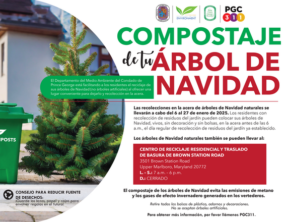 Christmas Tree Composting sp