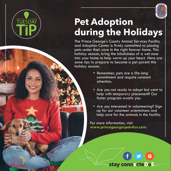 Holiday adoptions