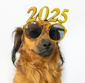 2025 dog