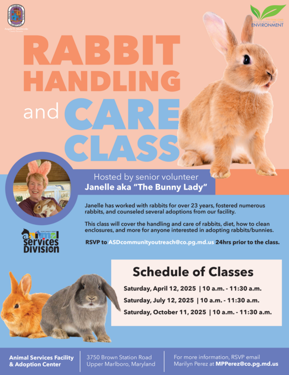 Rabbit Handling Class