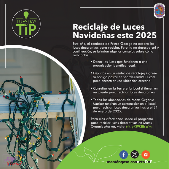 Holiday String Lights