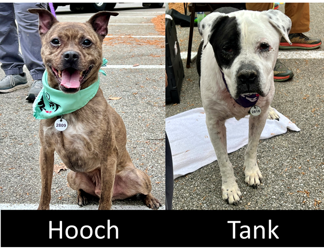 Hooch and Tank