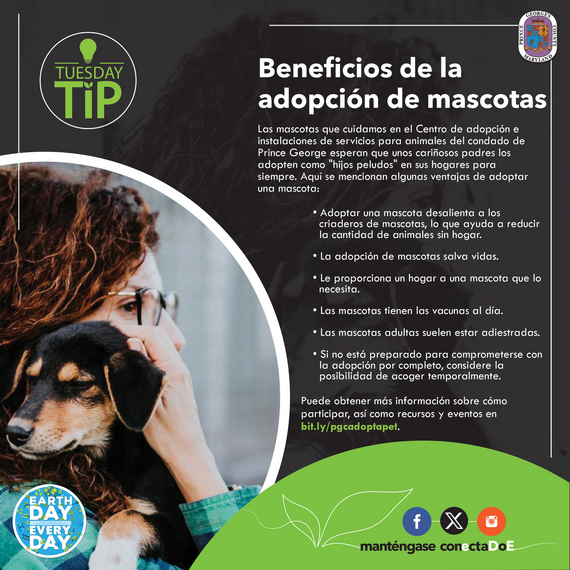 Tuesday Tip Pet Adoption 