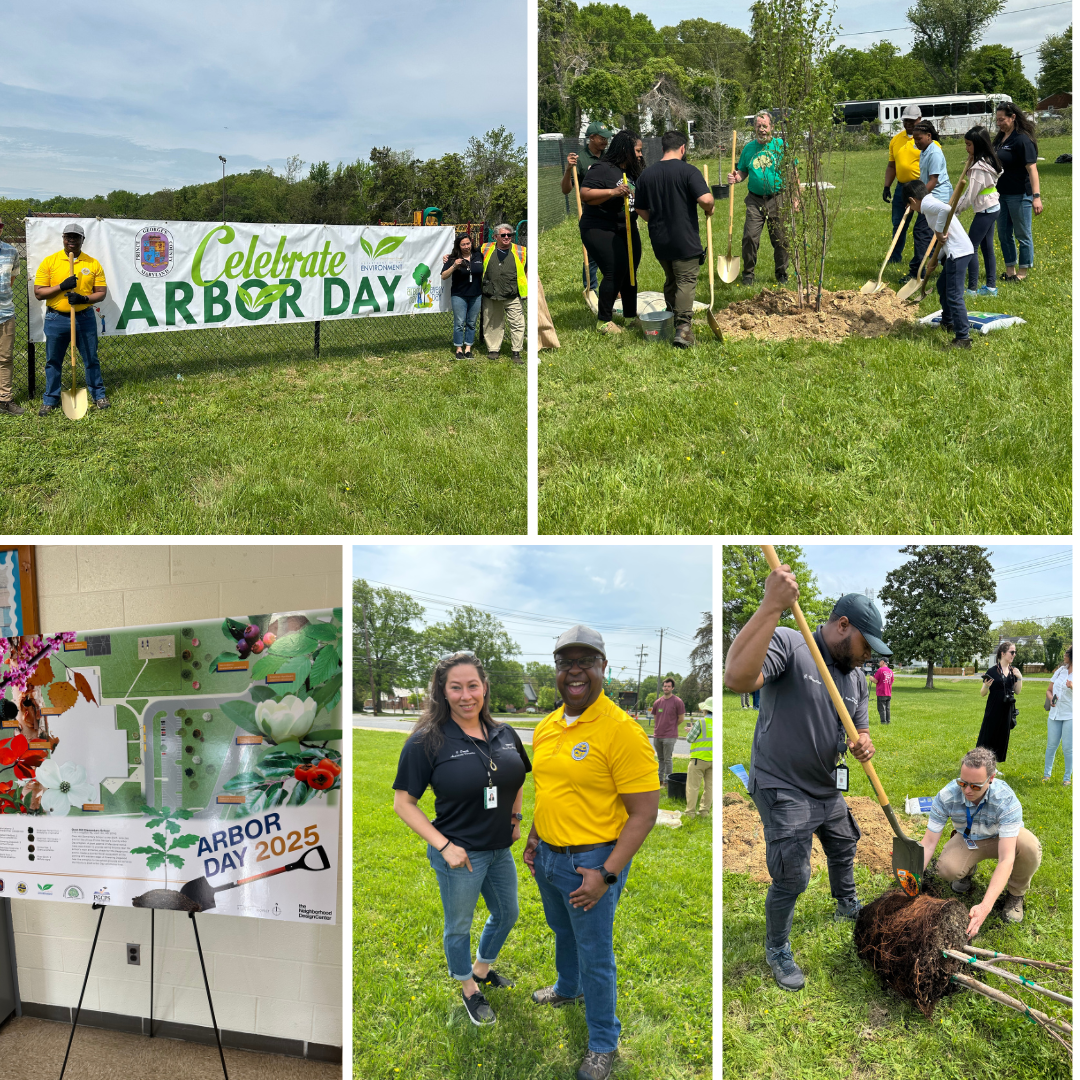 DPW&T Staff participating in Arbor Day