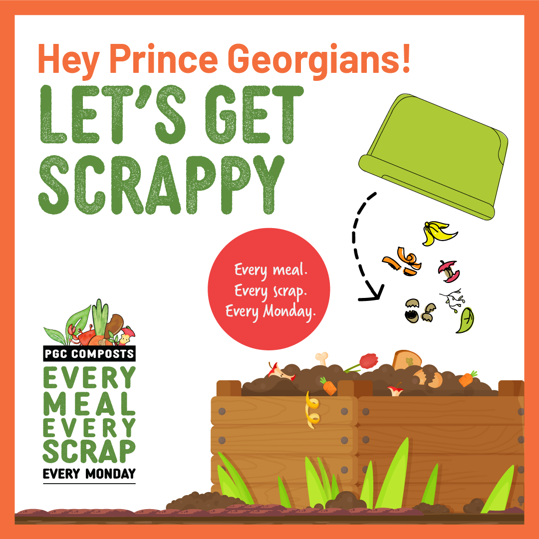 let's get scrappy 2