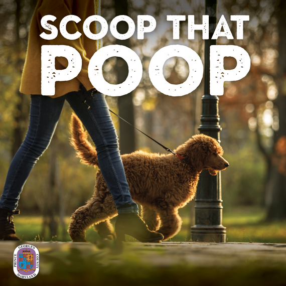 Scoop that poop 25