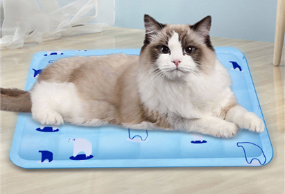 cat on cooling mat2