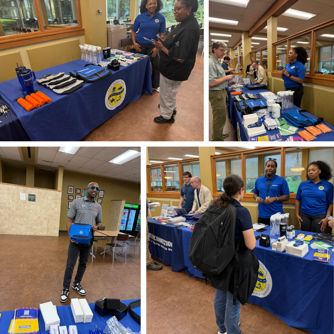 NASA Lunch and Learn Event collage