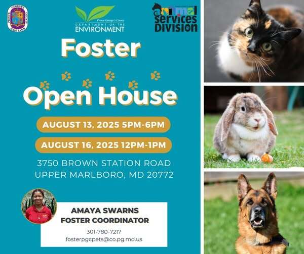 foster open house 8-16